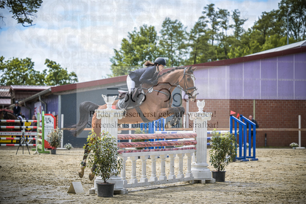 DOS_7587 | Entdecke hochwertige Reitturnierfotos von Foto Oger. Professionell, emotional und authentisch – jetzt Lieblingsmomente im Shop bestellen.Deutschlandweite Turnierfotografie. - Realisiert mit Pictrs.com
