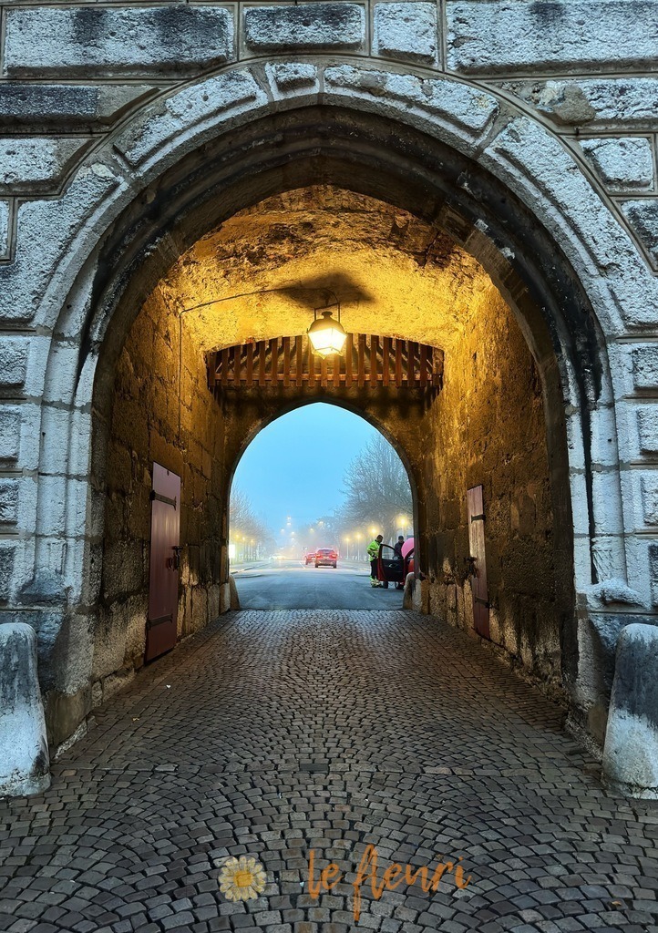 A345064B-8F09-41B9-B47E-79F720B8BD54 | Dies ist der Shop von Florian Blum - le fleuri. Langenthal, Bern, Schweiz. Sie können hier meine oder ihre eigenen Fotos als Fotoprodukte kaufen. Tassen, Schlüsselanhänger, Taschen etc. können Sie hier gestalten.  - Realisiert mit Pictrs.com