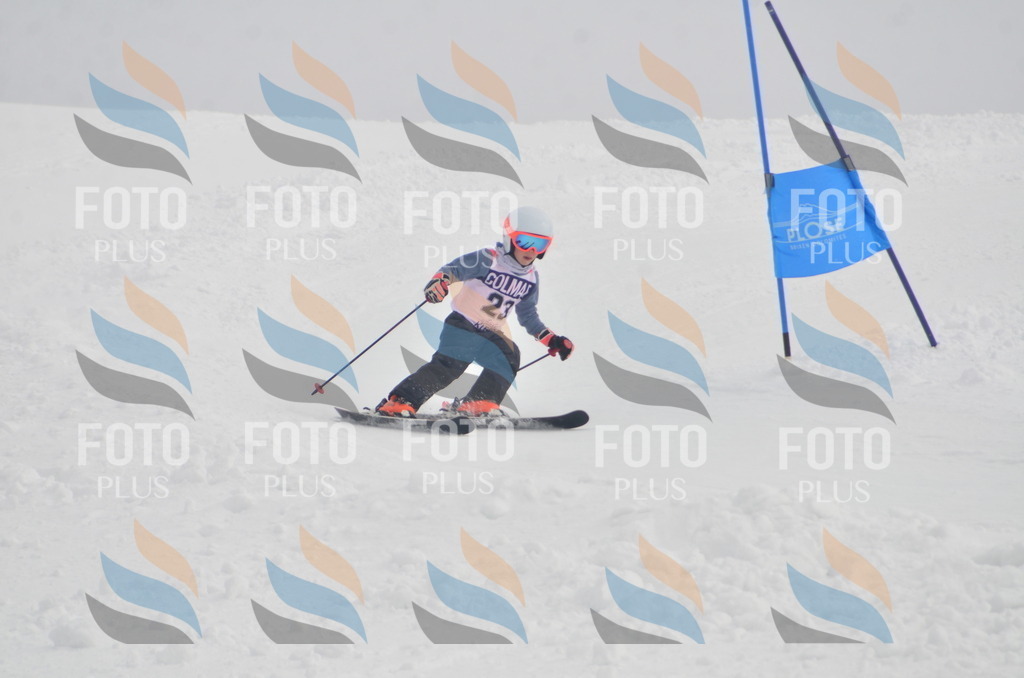 A5183 | holidayphoto