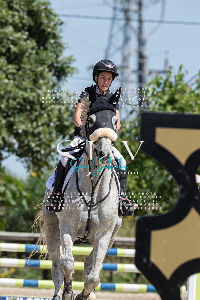 IMG_0646 | s-jay-photography - Realisiert mit Pictrs.com