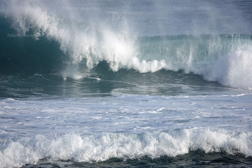 Wild Waves | Wild Waves Atlantic