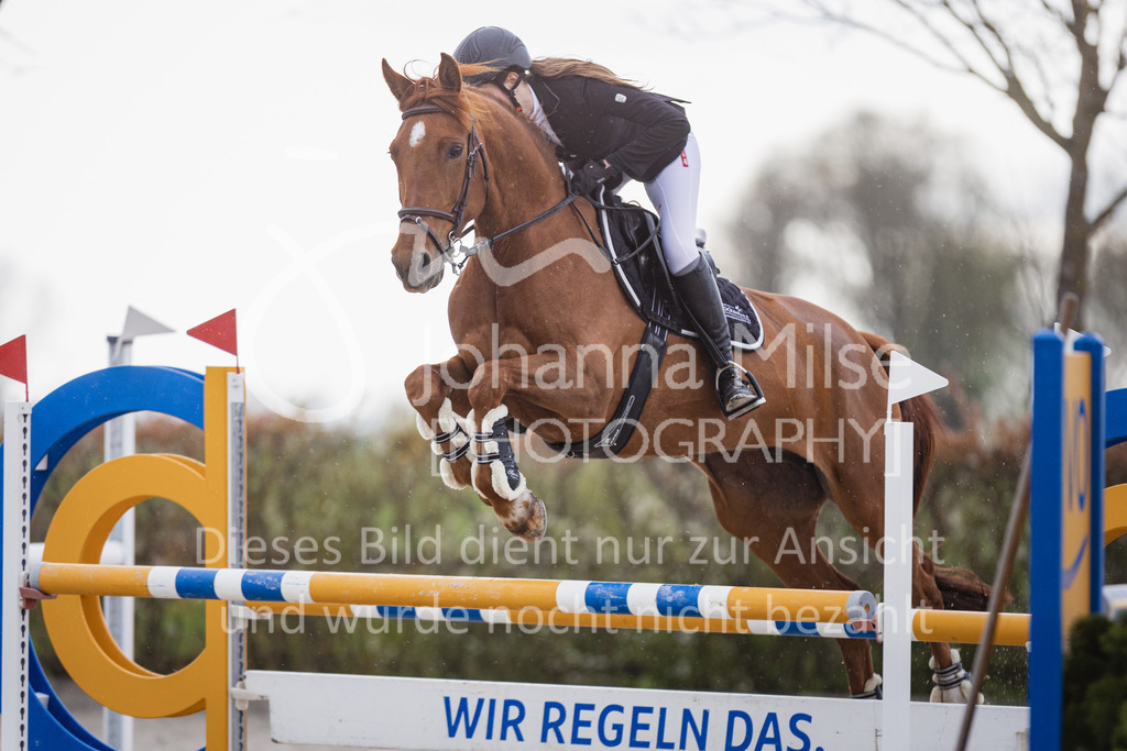 230426_HofSosath_Stil-L-514 | Deine schönsten Turniermomente als professionelle Fotos! Entdecke hochwertige Pferdesport-Fotografie im Online-Shop. Jetzt Fotos finden & bestellen!