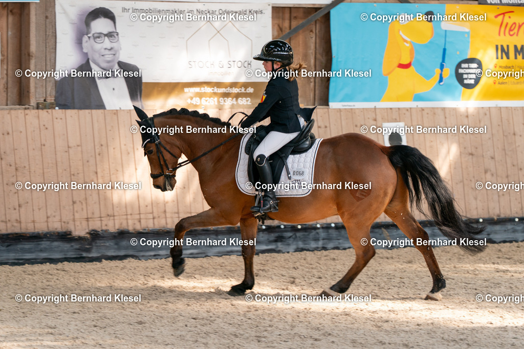 2A900444 | foto-team-bernhard - Realisiert mit Pictrs.com