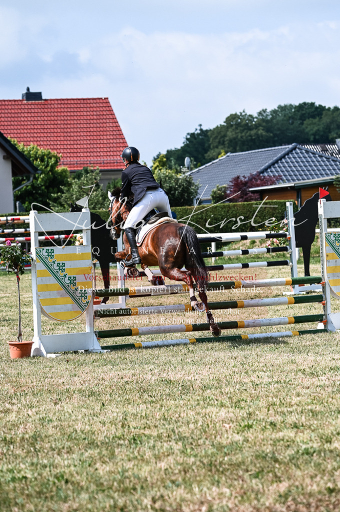 DSC_8659 | Pferde- und Turnierfotografie in Westsachsen. Pferdeportraits, Auftragszeichnungen und intuitive Kunst.