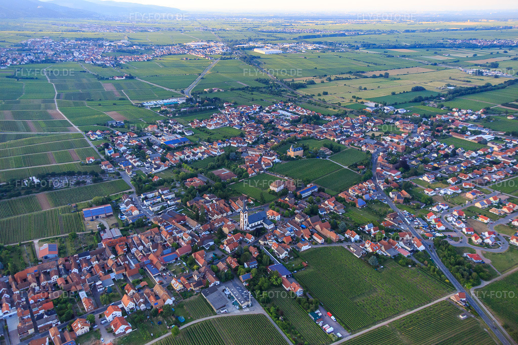Luftbild: Katholische Kirche St. Peter und Paul in Edesheim im Bundesland Rheinland-Pfalz in Deutschland. Foto: IMG_082713.jpg vom 25.06.2015 durch Werner Riehm/FLY-FOTO.de
