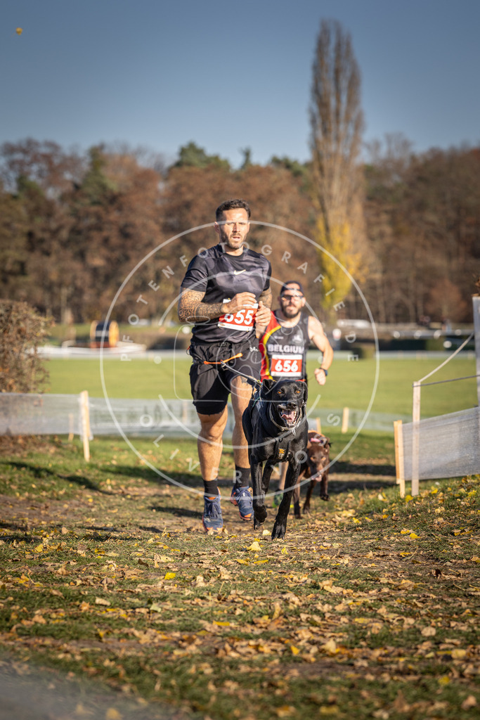 CaniXpix_DV3A0574 | Hundefotografie, Tierfotograf, Pfotenfotografie, Fotoshooting Hund, Hunde Portrait, Hundesport, Hundeportraits, Heideshooting, Hunde, Sportfotograf, Hundefotograf, Turnierhundsport, THS,  - Realisiert mit Pictrs.com