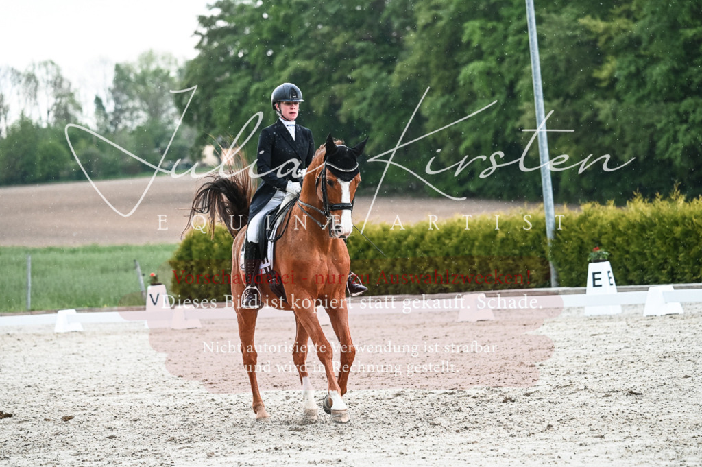 20230514_JK-Röhrsdorf-21-665 | Pferde- und Turnierfotografie in Westsachsen. Pferdeportraits, Auftragszeichnungen und intuitive Kunst.