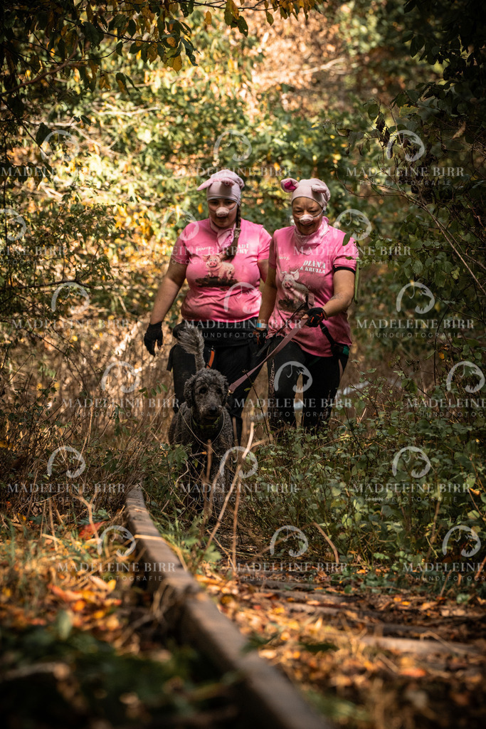 madeleinebirr.fotografie.2026.cc.hunsrueck.12-13Uhr.126 | hundefotografie-birr