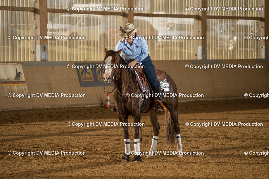 LAU01946 | dv-media-shop - Realisiert mit Pictrs.com