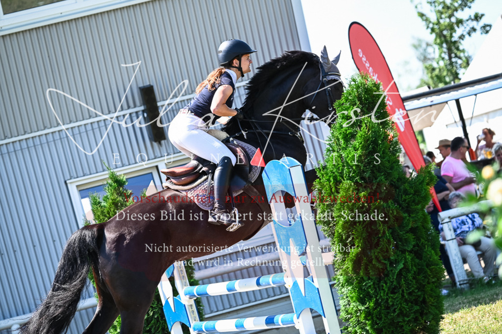 DSC_1036 | Pferde- und Turnierfotografie in Westsachsen. Pferdeportraits, Auftragszeichnungen und intuitive Kunst.