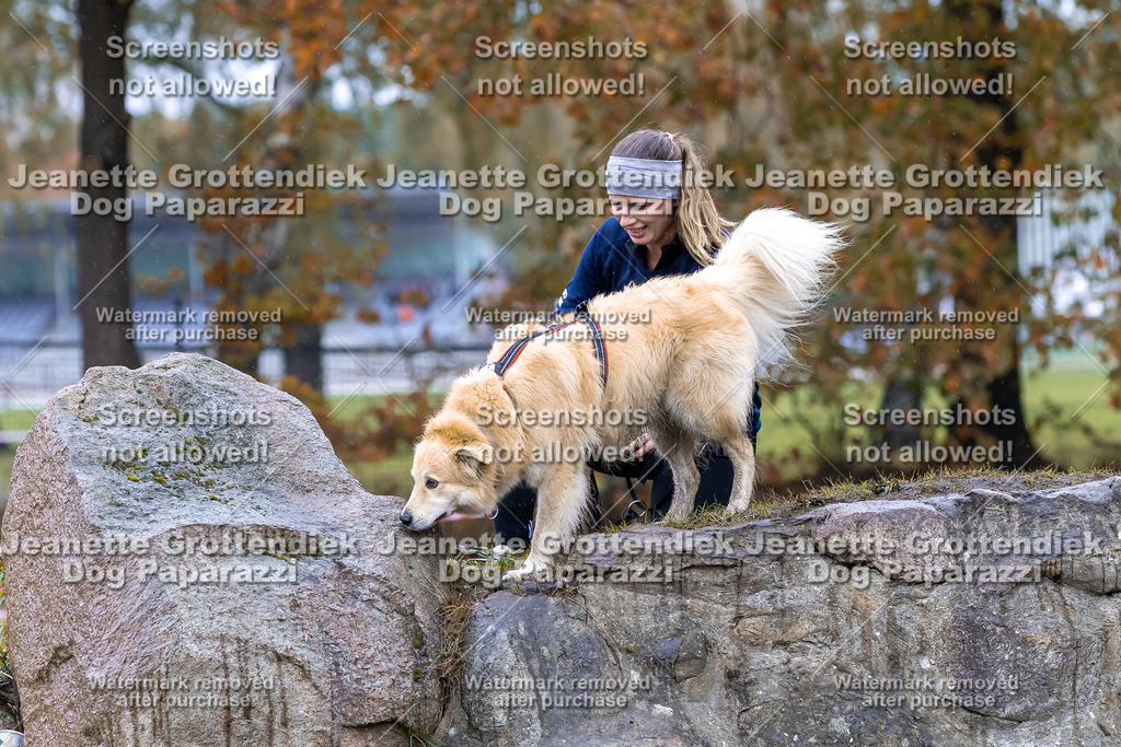 Dog Paparazzi - SD CaniX Championship 2025-839 | Dog Paparazzi Jeanette Grottendiek Fotografie & Videografie - Realisiert mit Pictrs.com