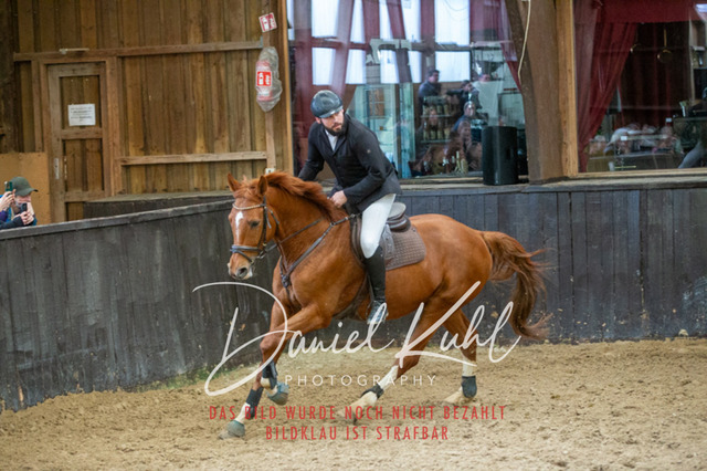 IMG_1856 | Turniersportfotografie; Pferdefotografie; Dressurfotografie