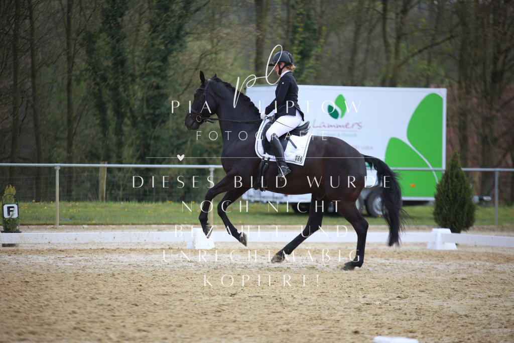 IMGT6208 | pl-fotografie