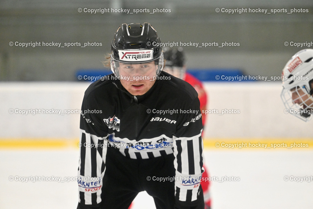 Lendhafen Seelöwen vs. Spartans Althofen | Pirsch Christoph Referee, Lendhafen Seelöwen vs. Spartans Althofen, Lendhafen Seelöwen vs. Spartans Althofen am 14.02.2025 in Ferlach (HTC Eishalle Ferlach), Austria, (Photo by Bernd Stefan)