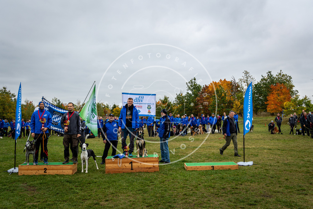 Pfotenfotografie_0L8A0462 | Hundefotografie, Tierfotograf, Pfotenfotografie, Fotoshooting Hund, Hunde Portrait, Hundesport, Hundeportraits, Heideshooting, Hunde, Sportfotograf, Hundefotograf, Turnierhundsport, THS,  - Realisiert mit Pictrs.com