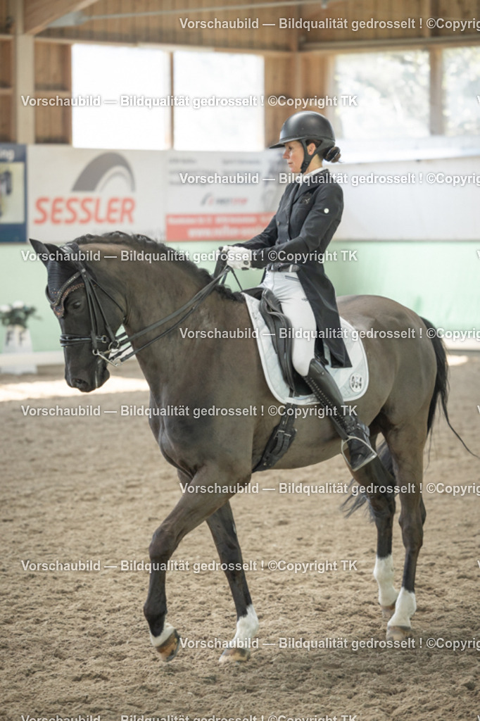 _D5A2176 | Emotionale Pferde- & People-Fotografie rund um Heidelberg, Leimen & Umgebung. Natürliche Fotos von Pferd, Mensch & Familie. Jetzt Termin sichern!