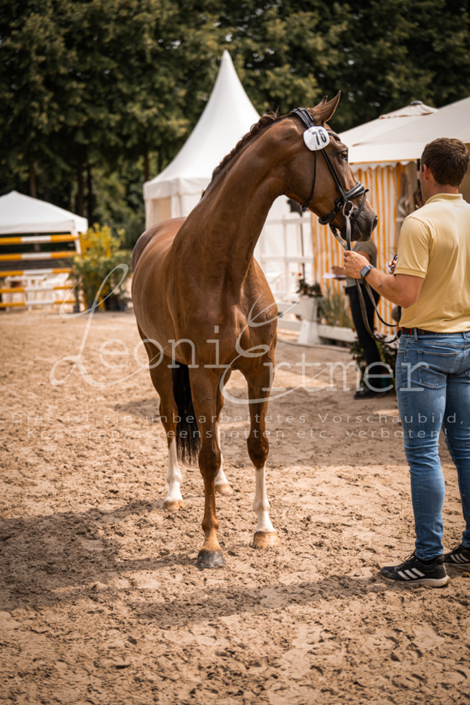 4.Fr00208 | Leoni Ertmer Photography - Realisiert mit Pictrs.com