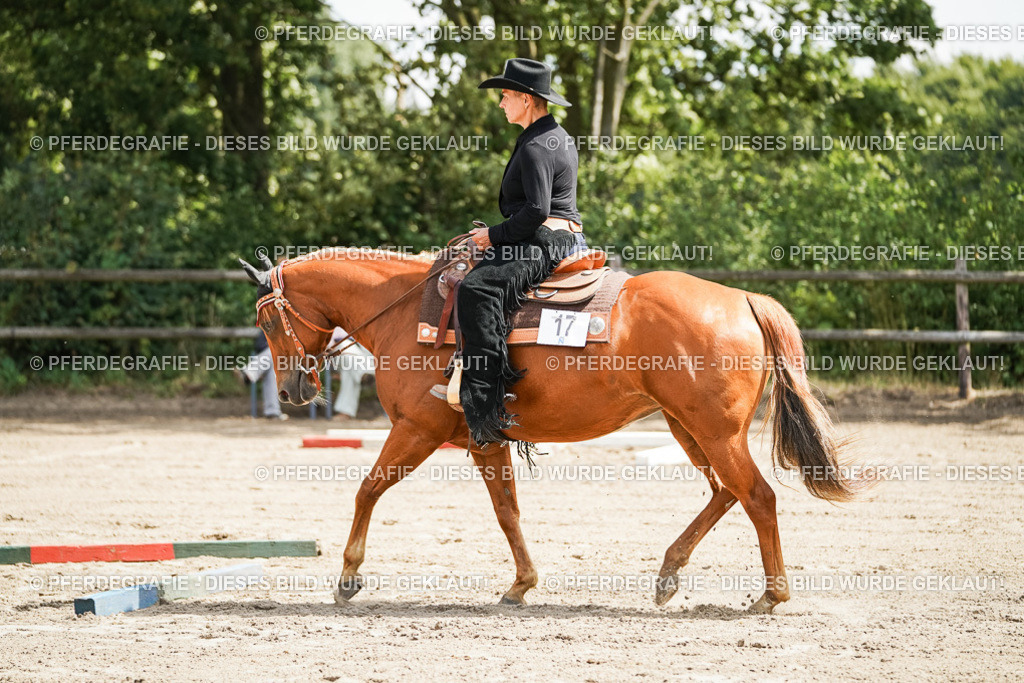 DSC06009 | Pferdegrafie