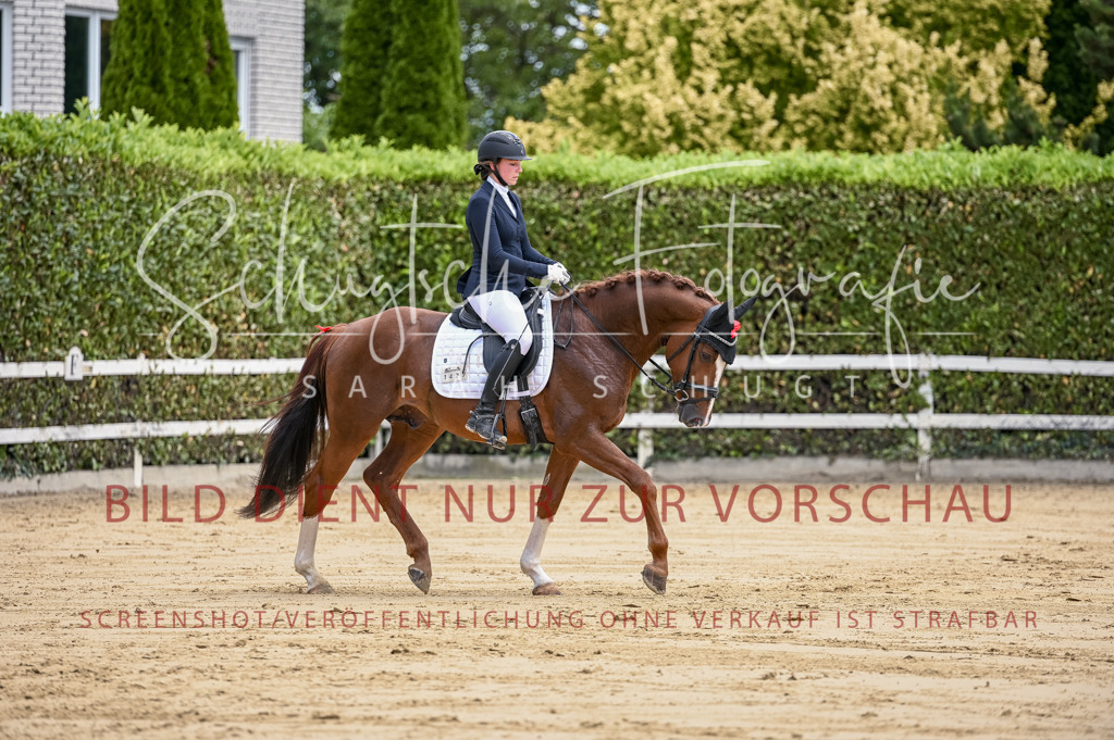 Schugtsche-Aluta25-48.Reitpferfdeprf.-169 | Schugtsche Fotografie - Realisiert mit Pictrs.com