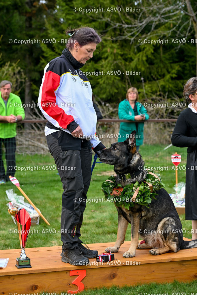 ASVÖ_ Tracking Dog World Championship 2025_ 05.04.2025-204 | bilder.asvo-sport - Realisiert mit Pictrs.com
