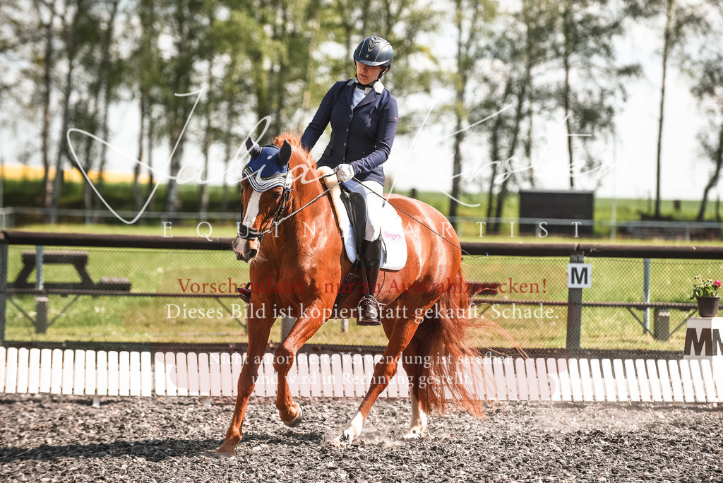 DSC_8857 | Pferde- und Turnierfotografie in Westsachsen. Pferdeportraits, Auftragszeichnungen und intuitive Kunst.