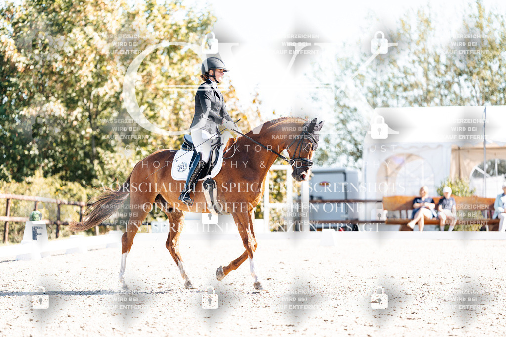 CK909189 | Turnierfotografie Pferdefotografie Trier Rheinland-Pfalz Pferdesport Reitsport Tierfotografie Sportfotografie Pferdevideo Pferdevideografie Equestrianvideography equestrianphotography  - Realisiert mit Pictrs.com