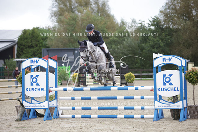 1J2A8473Pheline Ahlmann_ Mirella 26_ Kn735_ Havekost | Foto- und Videografie für alles rund ums Pferd. Hochwertige Bilder und Videos vom Spring- und Dressurreiten, Voltigieren & mehr. Jetzt aktuelle Veranstaltungen und Preise im Shop ansehen. - Realisiert mit Pictrs.com