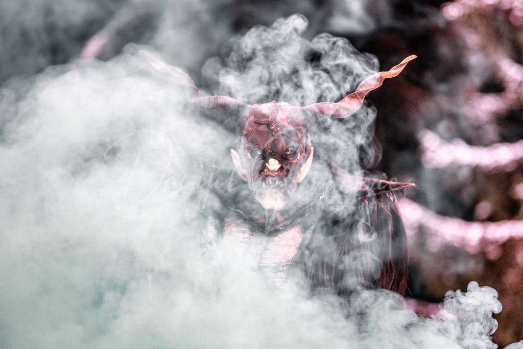 DSC06384 | Professioneller Fotograf - Bildbestellung online - Wandbilder vom Profi für ihr Zuhause, Büro, Praxis, Firma - große Auswahl an Materialien und Formaten, über 1400 regionale Motive