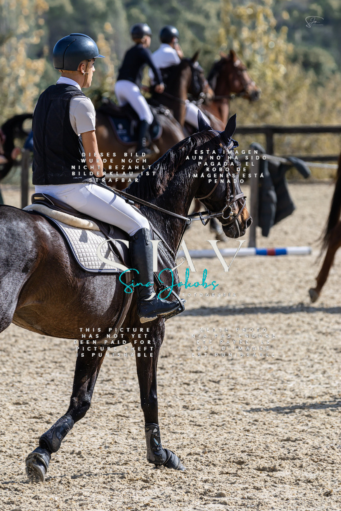 IMG_0386 | s-jay-photography - Realisiert mit Pictrs.com