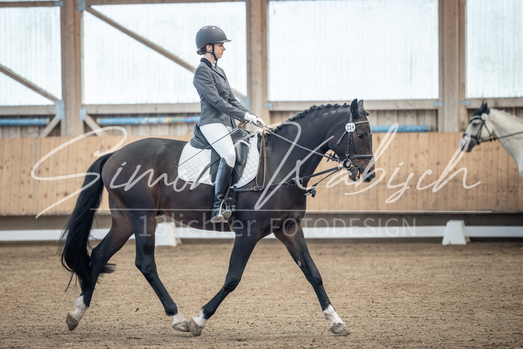 20251011-_3LI7582 | Tierfotografie Pferde, Hunde, Katzen, Haustiere.
Turnierfotografie Reitturniere, Reiten, Springreiten, Dressur in Hanau, dem Main-Kinzig-Kreis und dem Rhein-Main- Gebiet um Frankfurt