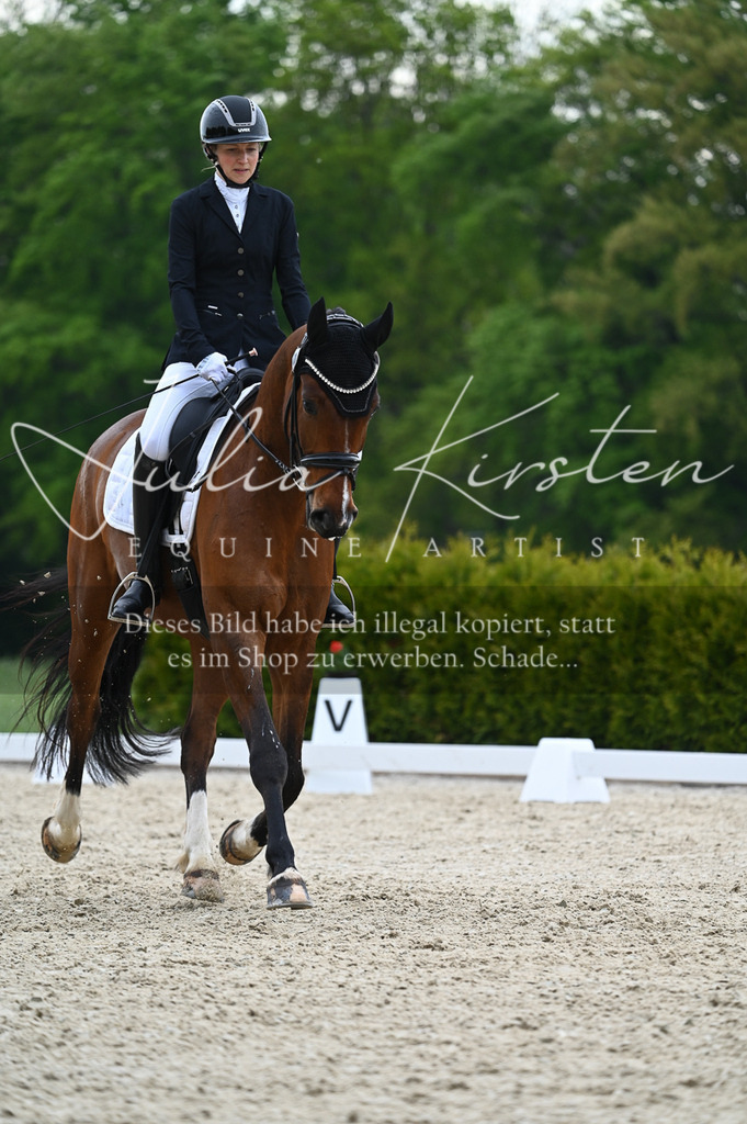 20230512_JK-Röhrsdorf-02-162 | Pferde- und Turnierfotografie in Westsachsen. Pferdeportraits, Auftragszeichnungen und intuitive Kunst.