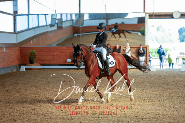 _62_6475 | Turniersportfotografie; Pferdefotografie; Dressurfotografie