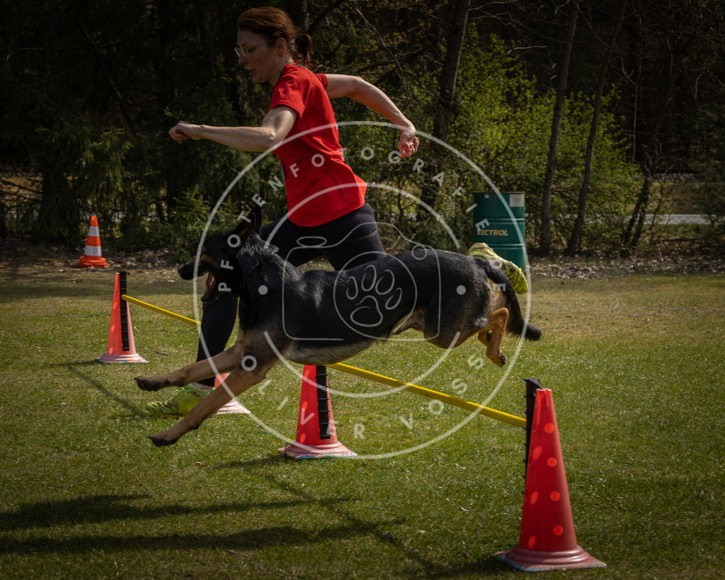 Pfotenfotografie_DV3A4003 | Hundefotografie, Tierfotograf, Pfotenfotografie, Fotoshooting Hund, Hunde Portrait, Hundesport, Hundeportraits, Heideshooting, Hunde, Sportfotograf, Hundefotograf, Turnierhundsport, THS,  - Realisiert mit Pictrs.com
