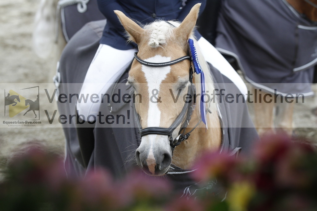 _MG_6869 | equestrian-live-com