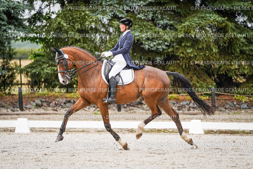 DSC08565 | Pferdegrafie