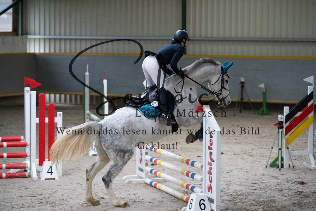 A7V00840 | Pferdefotograf