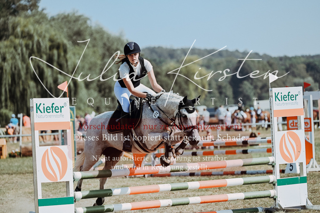 DSC_9443 | Pferde- und Turnierfotografie in Westsachsen. Pferdeportraits, Auftragszeichnungen und intuitive Kunst.