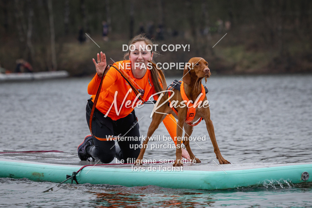 nelerasche_Hulsbeek_Sa1600-1700_39 | nelerasche
