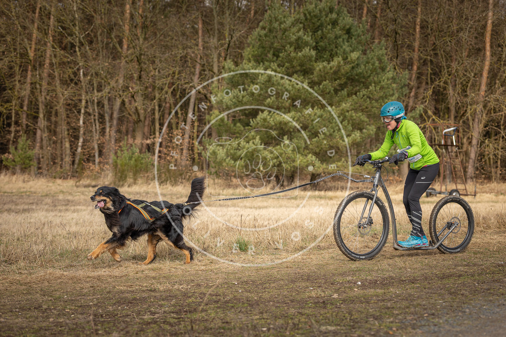 DV3A4852 | Hundefotografie, Tierfotograf, Pfotenfotografie, Fotoshooting Hund, Hunde Portrait, Hundesport, Hundeportraits, Heideshooting, Hunde, Sportfotograf, Hundefotograf, Turnierhundsport, THS,  - Realisiert mit Pictrs.com