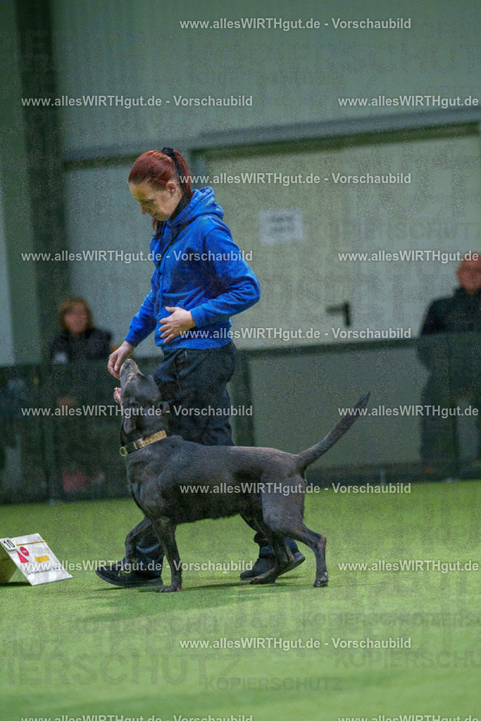7R507012 | Professionelle Tierfotografie in Mönchengladbach von Daniel Wirth (allesWIRTHgut). Liebevolle & natürliche Bilder von Hunden & Katzen für unvergessliche Erinnerungen.