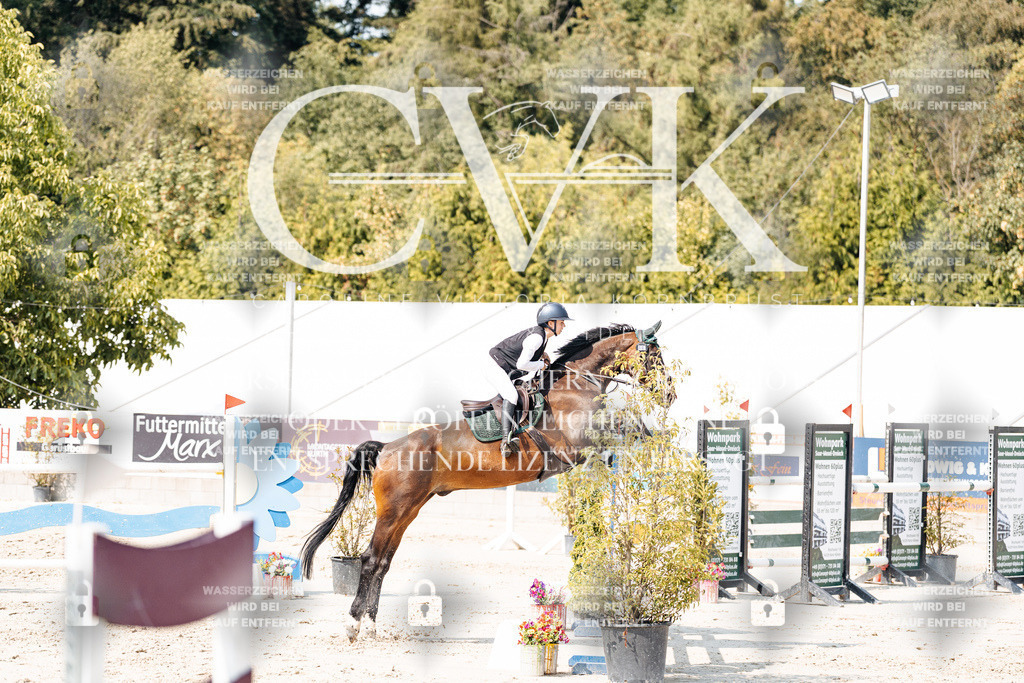 CK901875 | Turnierfotografie Pferdefotografie Trier Rheinland-Pfalz Pferdesport Reitsport Tierfotografie Sportfotografie Pferdevideo Pferdevideografie Equestrianvideography equestrianphotography  - Realisiert mit Pictrs.com