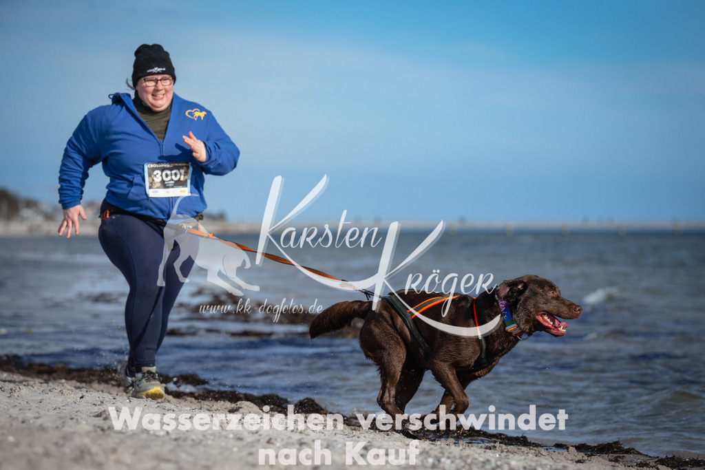 1334_ZZ91997 | kk-dogfotos