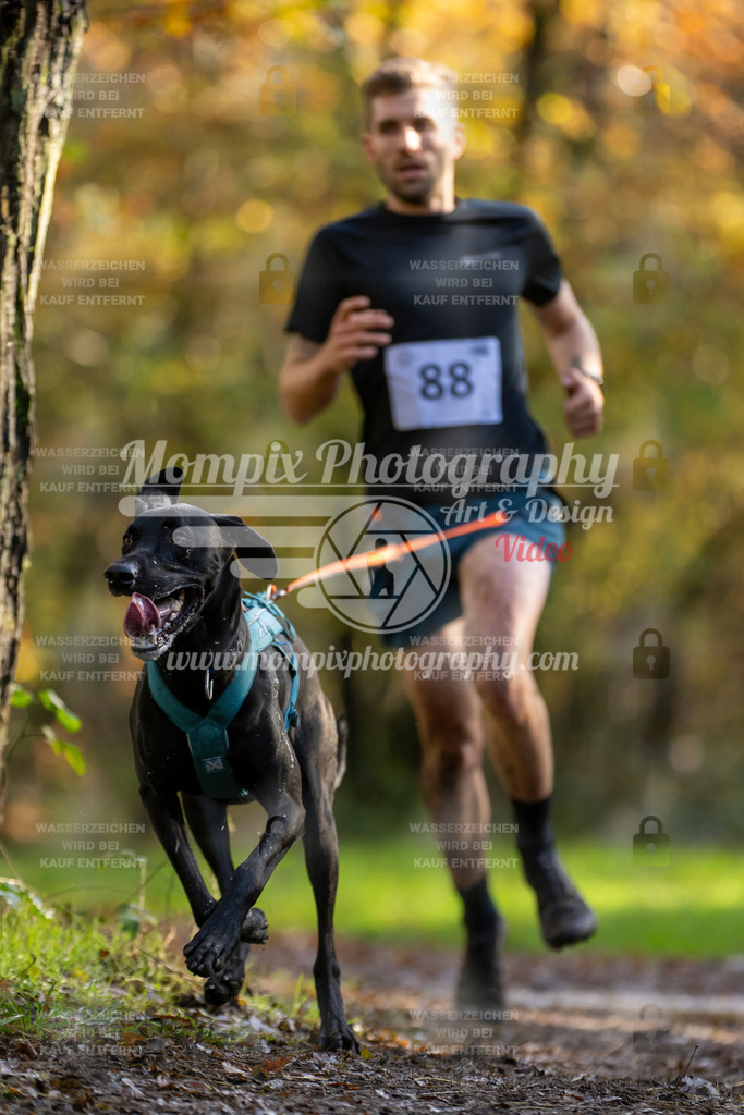 MompixPhotography_Bischwiller23_Canicross-18 | PayLife