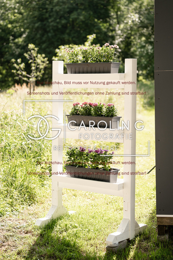 DSC06352 | Turnierfotografin Carolin Gieschke, Turnierfotografie Carolin G Fotografie, Turnierfotos Kirchheim/Teck, Esslingen, Stuttgart, Bodenseekreis