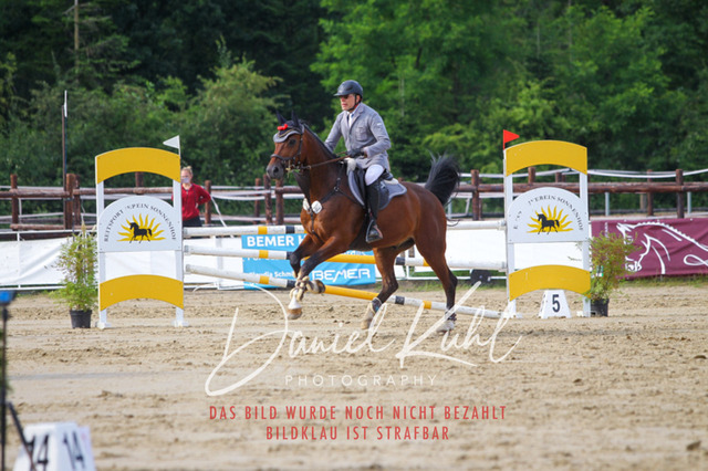 DKP42164 | Turniersportfotografie; Pferdefotografie; Dressurfotografie