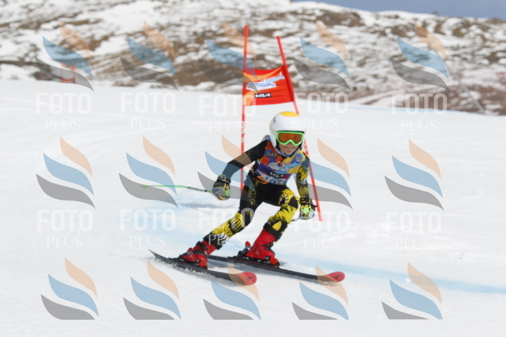 _U3G2894 | holidayphoto