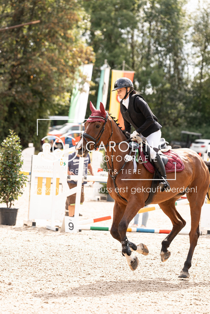 DSC02558 | Carolin Gieschke