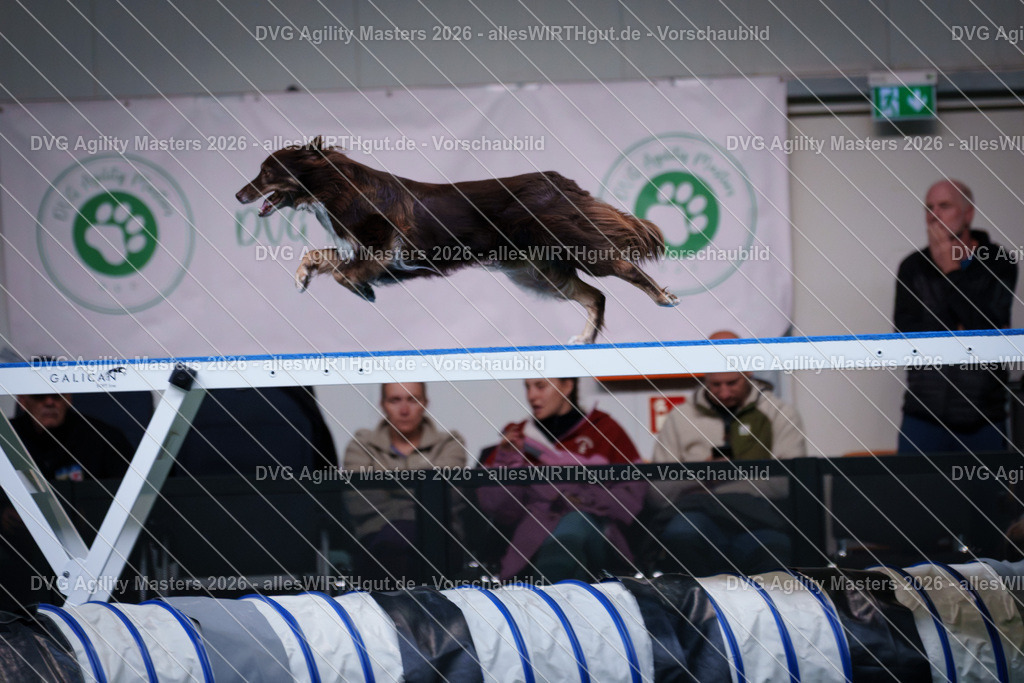 allesWIRTHgut_Tierfotografie-DVG_Agility_Masters_2026-15_28-7R506289 | Professionelle Tierfotografie in Mönchengladbach von Daniel Wirth (allesWIRTHgut). Liebevolle & natürliche Bilder von Hunden & Katzen für unvergessliche Erinnerungen.