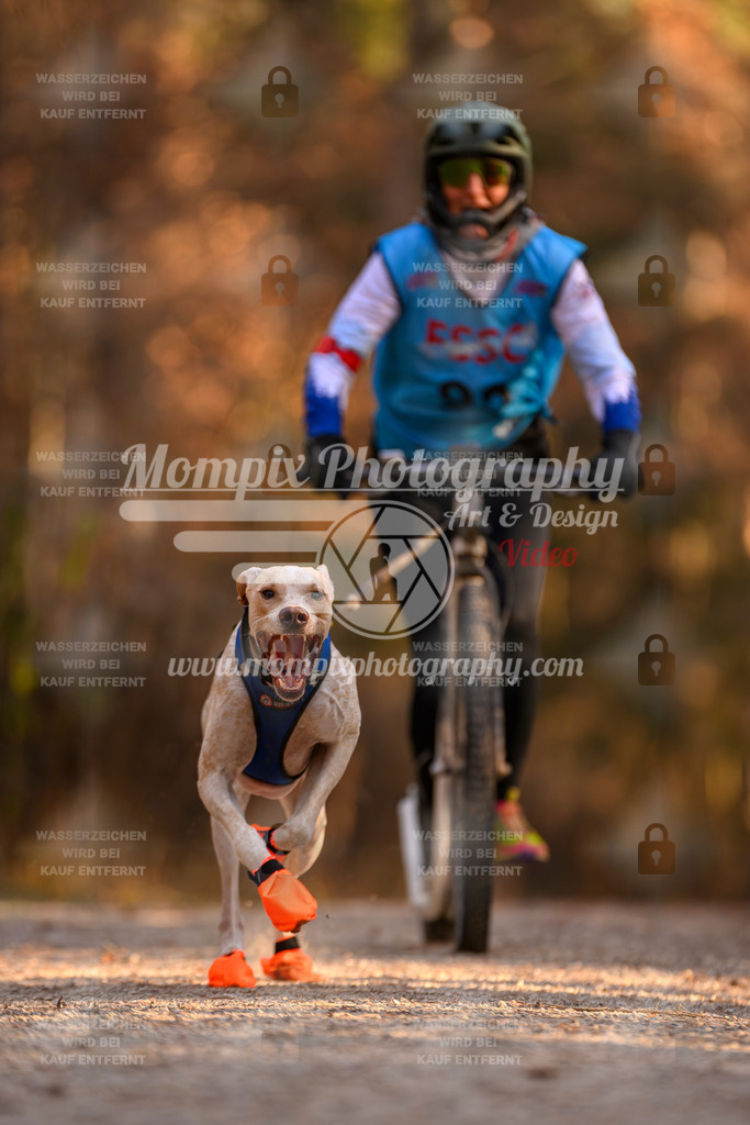 MompixPhotography_DM_AKDM_SO_2025_Scooter-162 | PayLife