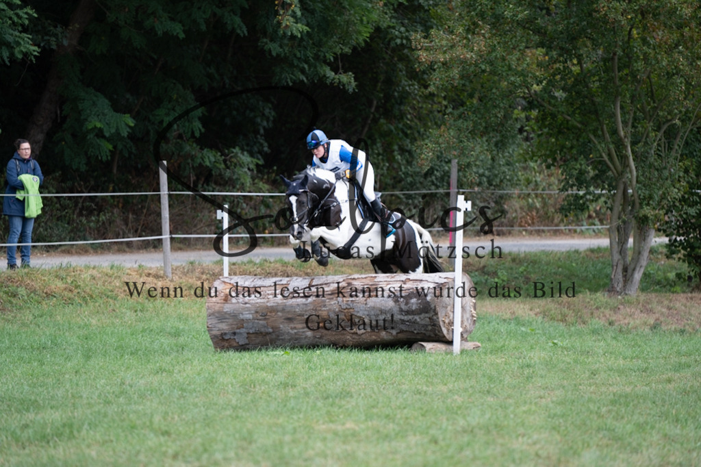 A7V00424 | Pferdefotograf